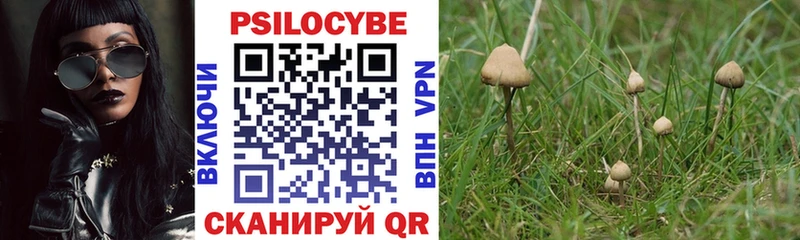 купить закладку  дарк нет формула  Псилоцибиновые грибы GOLDEN TEACHER  Сорск 